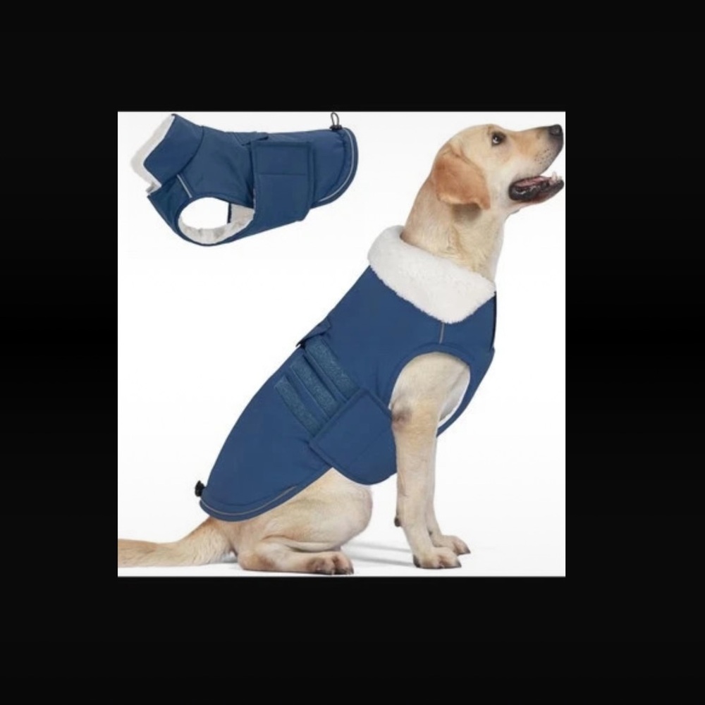 Blue Dog Winter Coat with Sherpa Collar - Unbranded